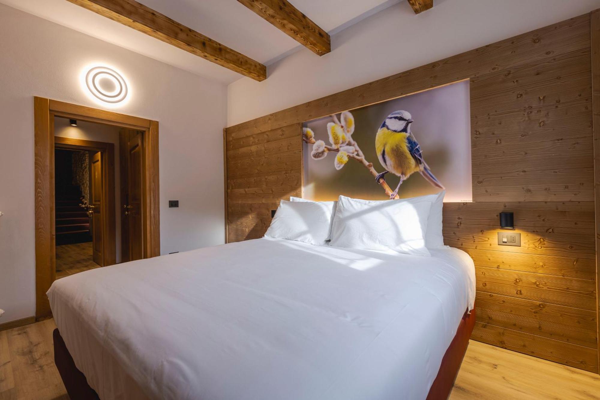 Granduca Mountain Wellness Apartments Campigna Eksteriør billede