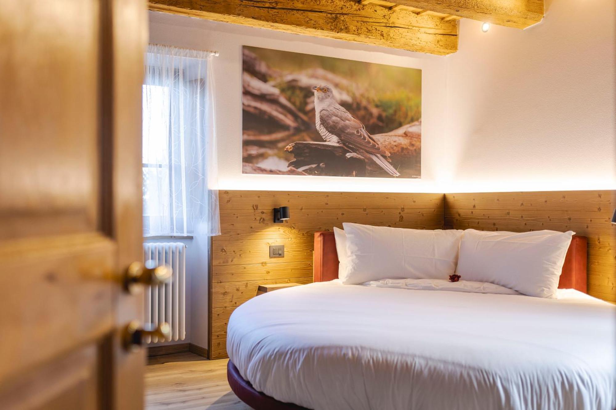 Granduca Mountain Wellness Apartments Campigna Eksteriør billede